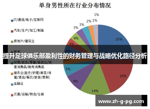 提升足球俱乐部盈利性的财务管理与战略优化路径分析